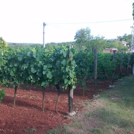 Ana * Labin (Istria)