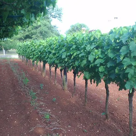 Ana Labin (Istria)